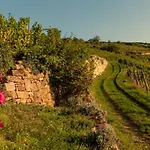 Terra Vinum 3* Gueberschwihr