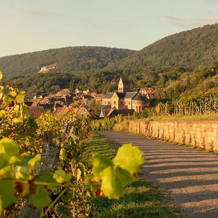 Hotel Terra Vinum 3*