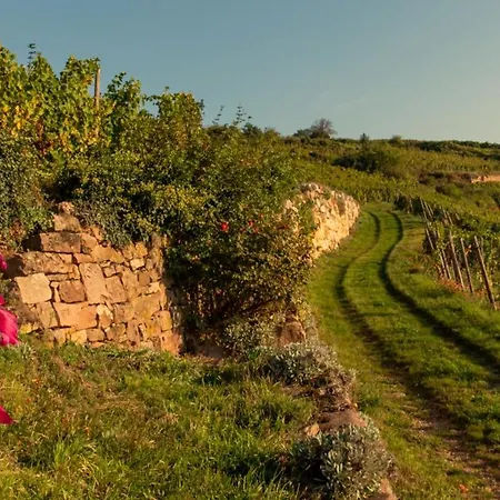 Terra Vinum 3* Gueberschwihr