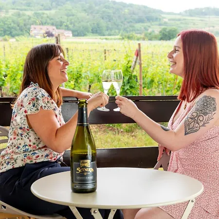 Hotell Terra Vinum Gueberschwihr