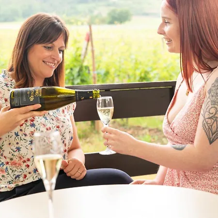 Terra Vinum Gueberschwihr